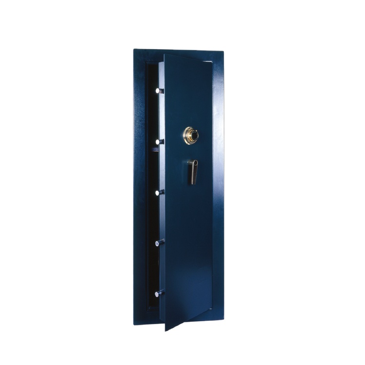 Proway gun safe gun cabinet company for storing ammunitions-1