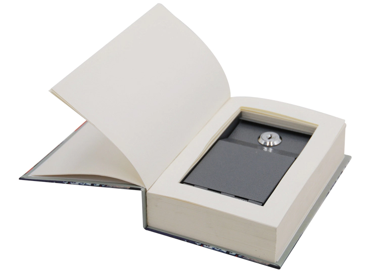 Secret Key Lock Book Safe, Hollowed Out Real Paper real pages Hidden Dictionary Book Safe Box/