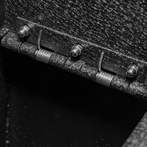 Counter balanced door with spring assisted hinge