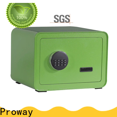 Proway Custom big safe box Supply for office