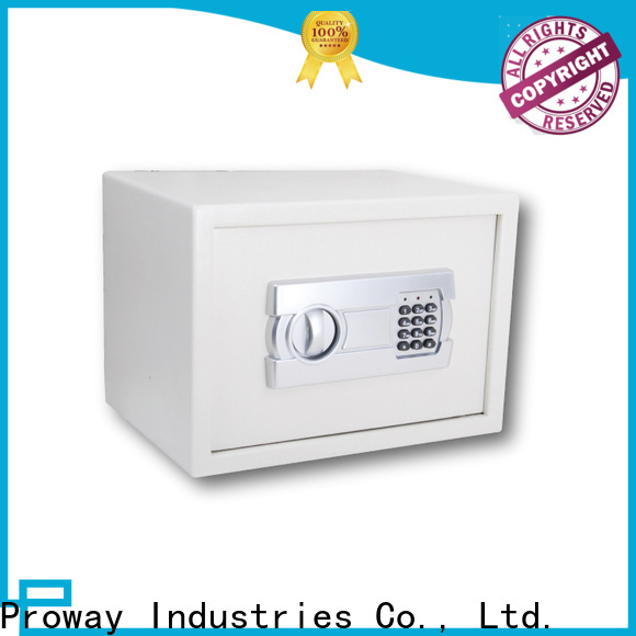 Proway portable lock box safe for business for money storage