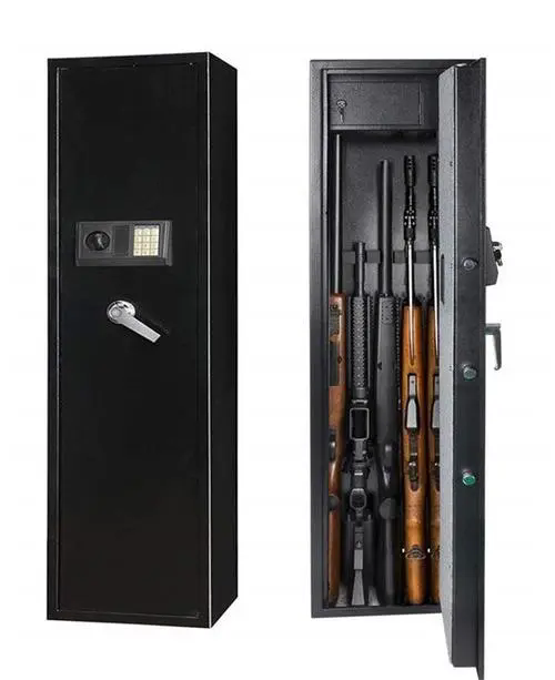 Why you need a gun safe?
